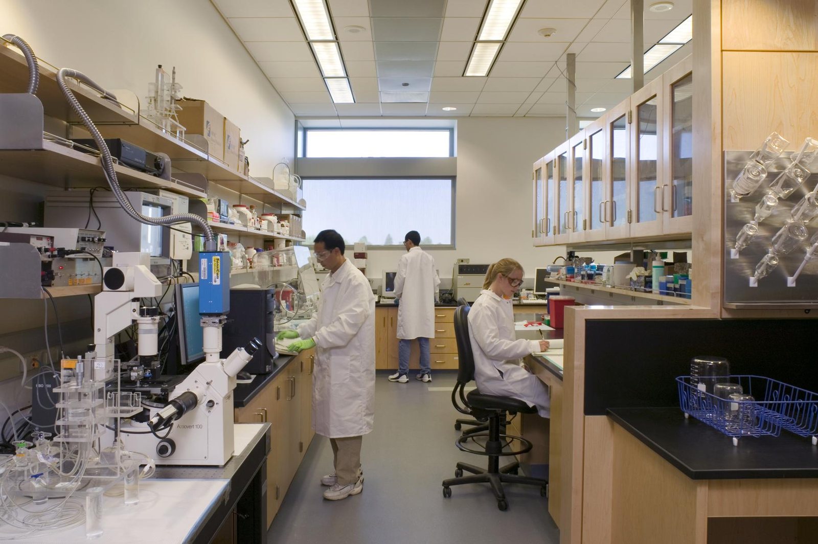 Professionals working in a biomedical engineering laboratory